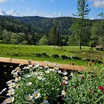 Perle Des Hauts Отель типа 