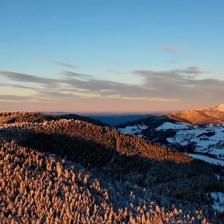 Perle Des Hauts 4* Gérardmer