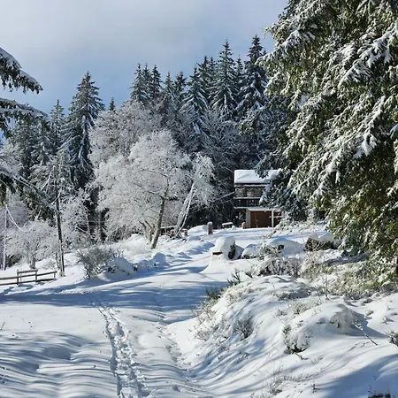 Perle Des Hauts 4* Gérardmer