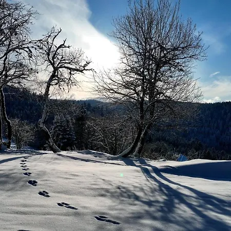 Perle Des Hauts Bed and breakfast