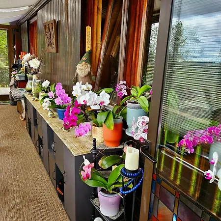 Bed and breakfast Perle Des Hauts