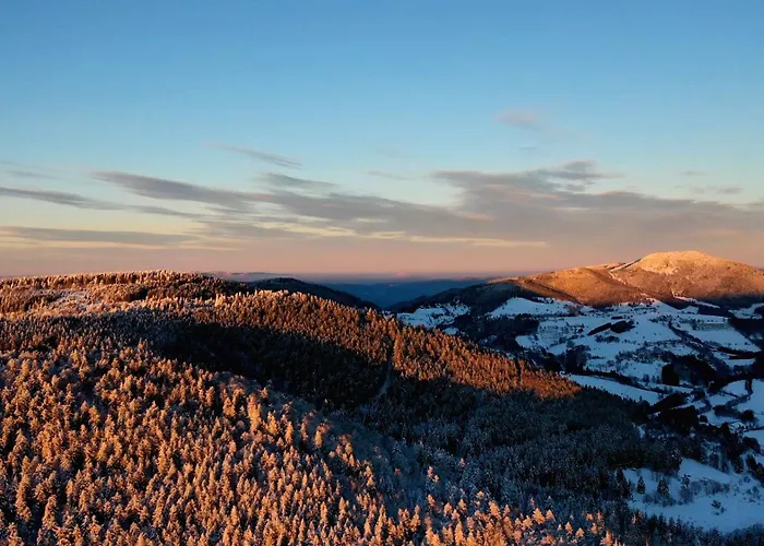 Perle Des Hauts 4* Gérardmer