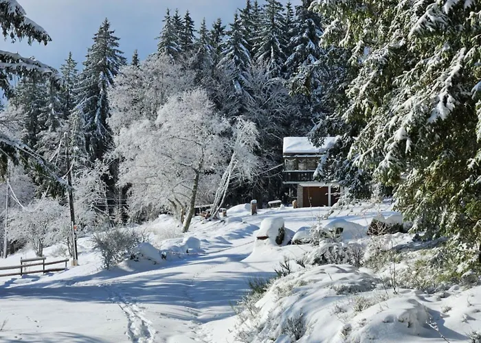 Perle Des Hauts 4* Gérardmer