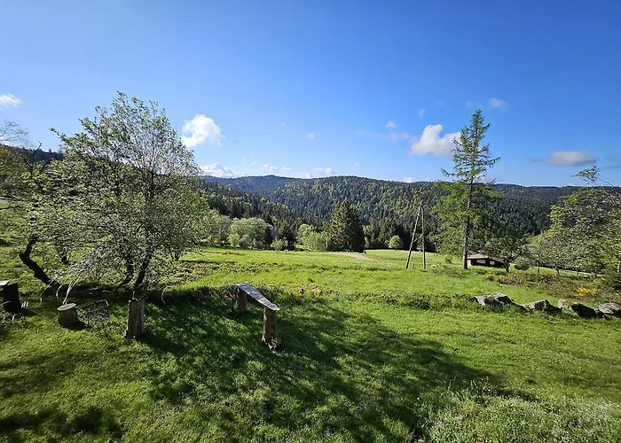 Perle Des Hauts Gérardmer