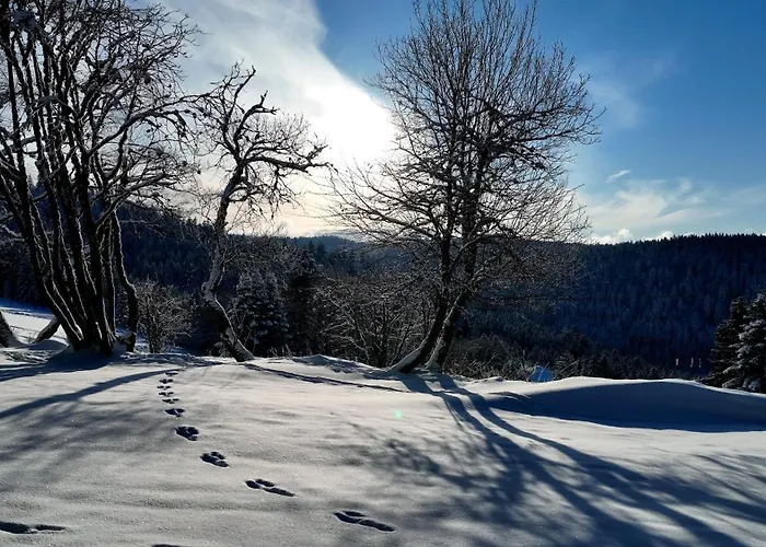 Perle Des Hauts Bed & Breakfast