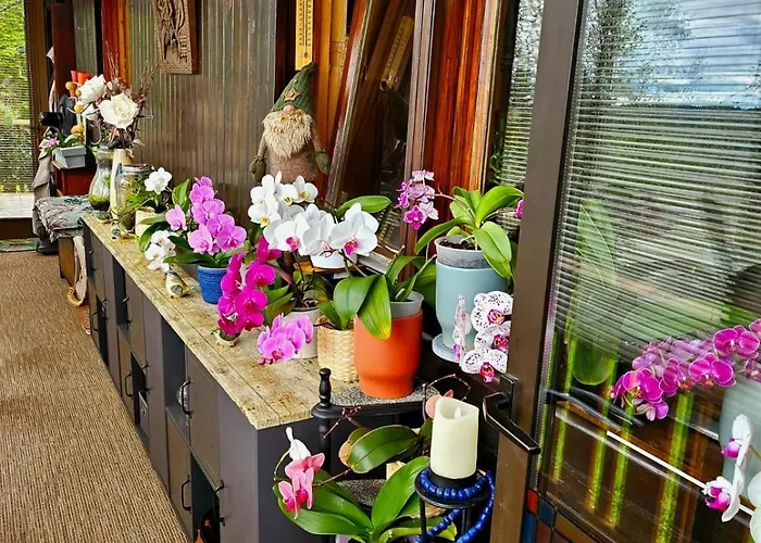 Bed & Breakfast Perle Des Hauts