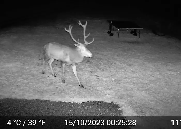 Bed & Breakfast Perle Des Hauts